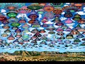 Dolphins Angels ETs & LSD: Timothy Wyllie Pt.3