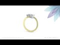Two Stone Heart Diamond Engagement Rings - Twist Heart Design