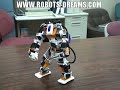 Custom Robots: Robo-Engine Humanoid Robot