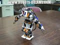 Custom Robots: Robo-Engine Humanoid Robot
