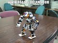 Custom Robots: Robo-Engine Humanoid Robot