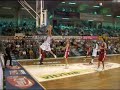 Okapi Aalstar