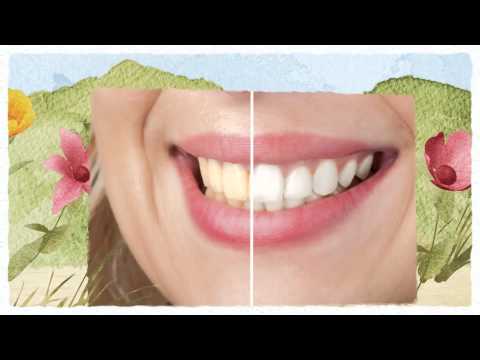 how to treat gum pain