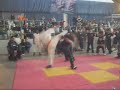 ema artes marciales