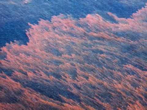 BPSLICK - An aerial view of the BP Slick, ground zero... The Source. Hurricane CREEKKEEPER© flies you to the scene and tells it like I see it! Please keep comments fre...