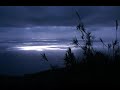 Schubert - 