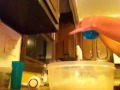 Bremar slushies #2