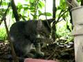 videos de BambiBaby_20081122_vid.AVI
