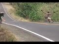 longboards Panamá en Azuero