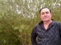 Radwan ebnaya mardelli al shal albenni رضوان ابنيه الشال البني