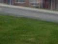 Random Stalking