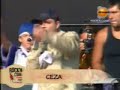 ceza - yerli plaka(2)