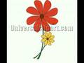 Free Clipart from www.UniversalClipart.com