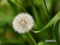 ADIERE .... ( Ambiental Cosmic)