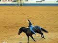 Stacey Westfall 2007 NRHA Futurity Invitational Freestyle Stacey Westfall 2007 NRHA Futurity Invitational Freestyle