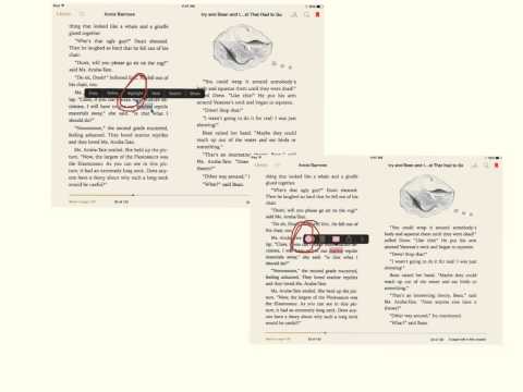 how to define in ibooks