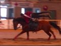 montage voltige