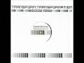 transform - transformation (tobi neumann matthew styles analog memory mix short break version)