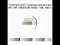 transform - transformation (tobi neumann matthew styles analog memory mix short break version)