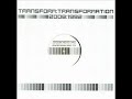 transform - transformation (tobi neumann matthew styles analog memory mix short break version)