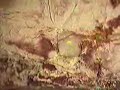 Coober Pedy (5/6), opal mining in Australia