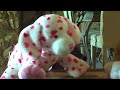 WEBKINZ NEWS TWO