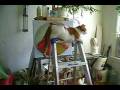 videos de Jimmys' New Ladder - 19 Aug 2008