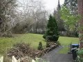 Gemany-, January 2011