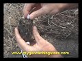 Real Asphalt Micro Geocache Real Asphalt Micro Geocache