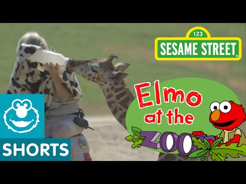 Sesame Street 04 - Elmo Visits Baby Animals Thumbnail