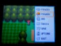 How to use Pokemon Modifier On Action Replay DS