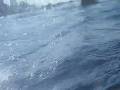 El Perro surfista_OssoyRasta.mpg