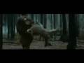  - Piczo Movies Video