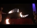 Fiesta tematica con Performance, Gogos, Strippers, Acrobatas