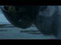 Halo Wars Trailer in HD