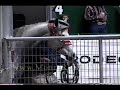 Monty Roberts Horse Trailer Loading Monty Roberts Horse Trailer Loading