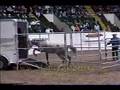 Monty Roberts Horse Trailer Loading