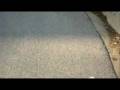 videos de water bottle fun