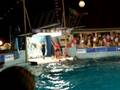 videos de Delfinario di Rimini