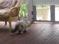 Monty Meets Bonnie