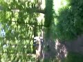 Kandel 08 jdwb 4