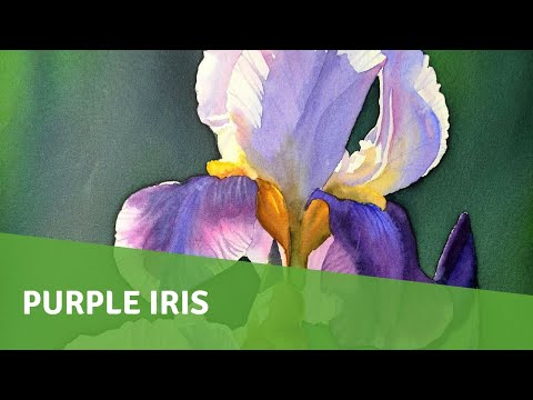 how to paint purple