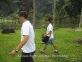 View Video