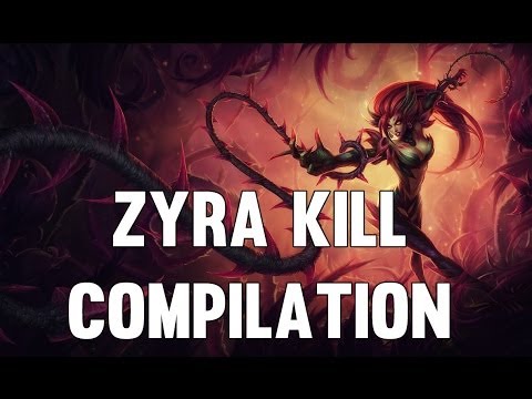 how to use zyra properly