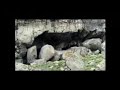 pintura rupestre hatunhuayco jachaña cave paintings andes