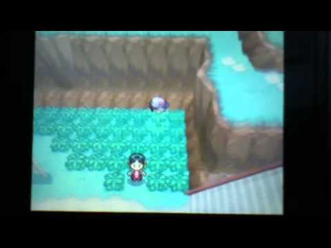 comment avoir un pokemon lvl 100