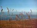 San Juan Island, WA - 2008