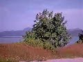 Langkawi - tepi lapangan terbang II