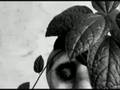 Alians - Nielegalni