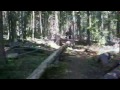 Freeridin\